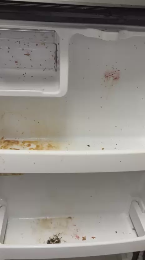 Before & After : The Cleaning Transformation.
